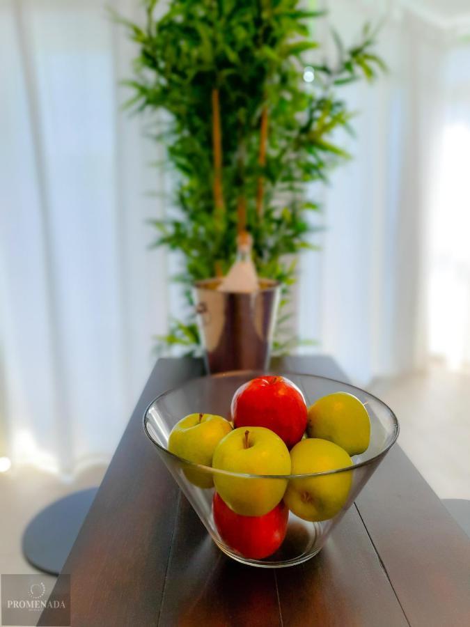 Coral Aparthotel Pool & Spa Mamaia Nord Năvodari Εξωτερικό φωτογραφία